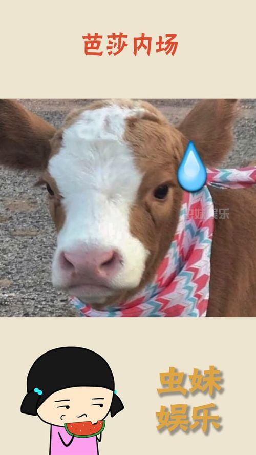 娱乐吃瓜酱贴纸,揭秘娱乐圈幕后故事 第2张 娱乐吃瓜酱贴纸,揭秘娱乐圈幕后故事 第2张