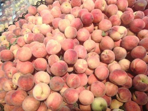 小豪娱乐吃瓜,揭秘娱乐圈最新吃瓜事件 第2张 小豪娱乐吃瓜,揭秘娱乐圈最新吃瓜事件 第2张