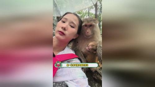 娱乐吃瓜酱盘点猴哥外号,娱乐吃瓜酱带你领略孙悟空的多面风采 第3张 娱乐吃瓜酱盘点猴哥外号,娱乐吃瓜酱带你领略孙悟空的多面风采 第3张