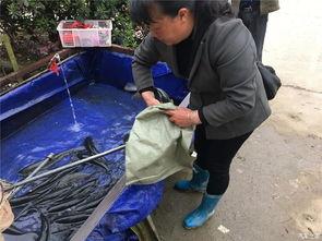 五一吃瓜群众网入口,揭秘热门话题背后的真相与笑料  第3张