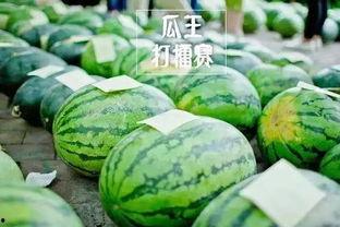 每日大赛吃瓜入口,吃瓜群众狂欢入口揭秘  第3张